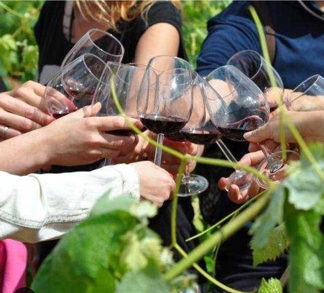 Brindis con copas de vino tinto entre las viñas