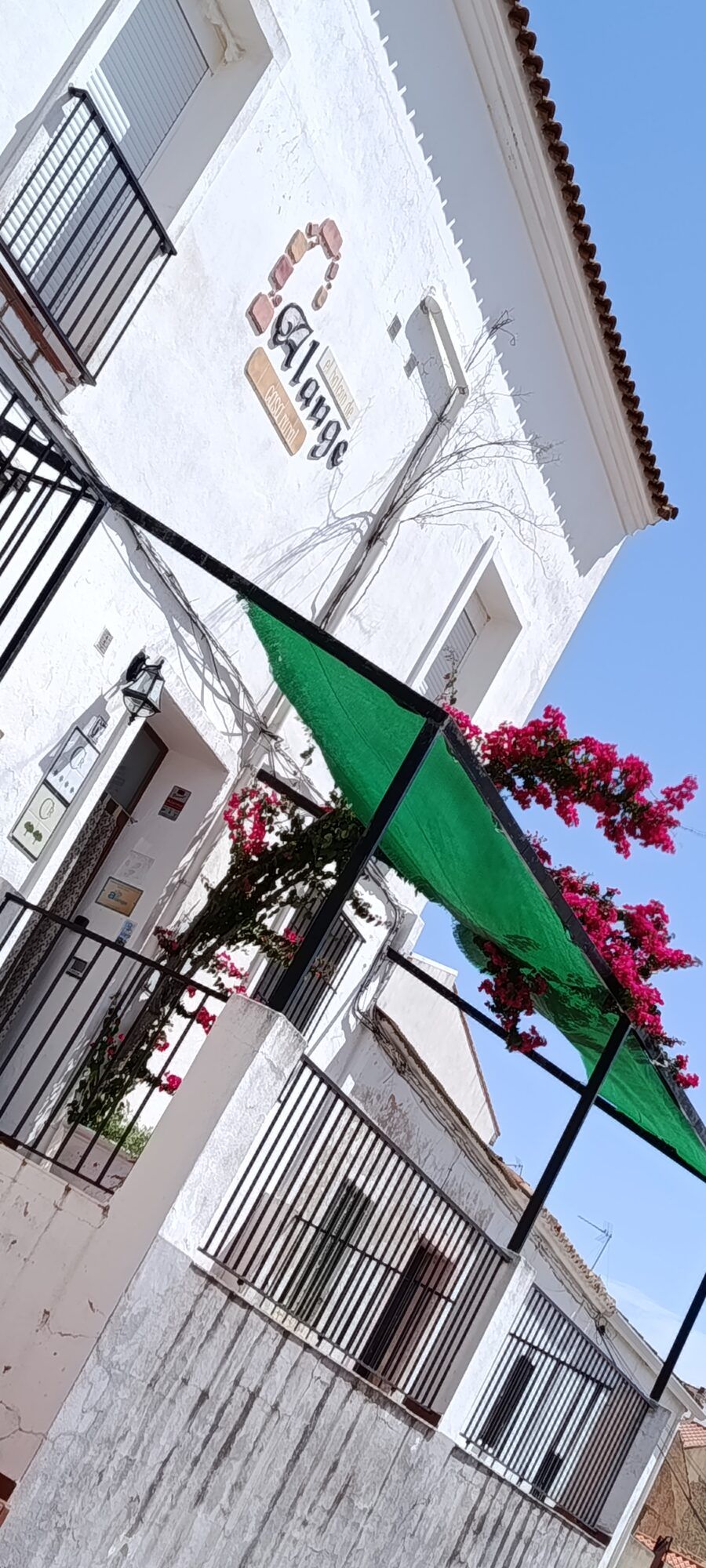 Muro encalado de la casa con la buganvilla trepando por la fachada