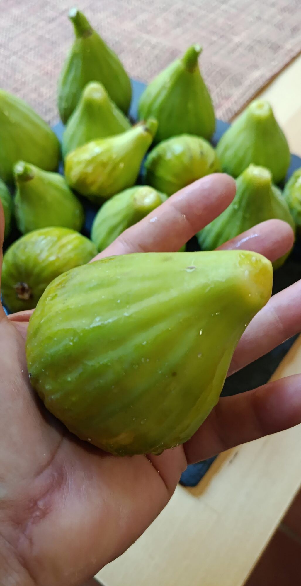 Higos recién cogidos, de los que se sirven en el desayuno