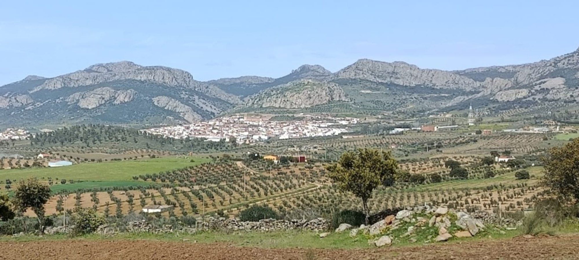 El casco blanco de Hornachos entre olivares, encajado bajo la Sierra Grande