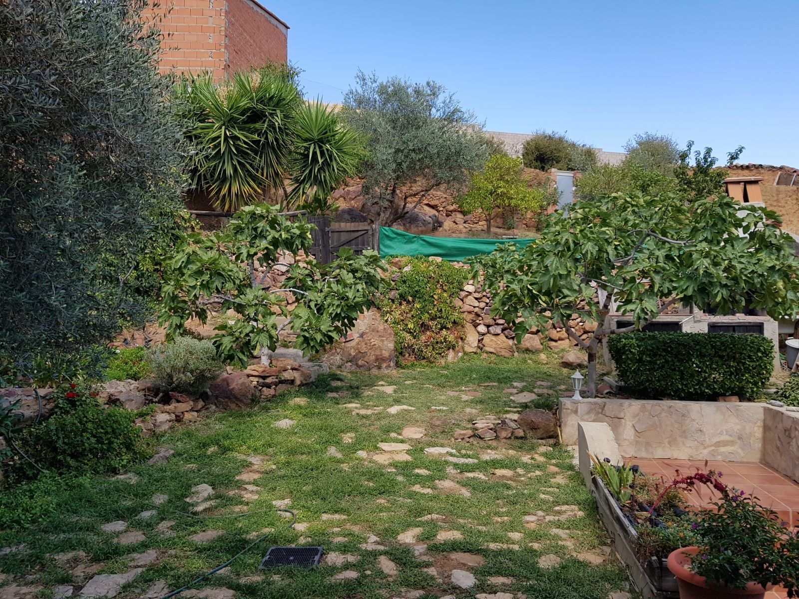 Árboles y vegetación en las terrazas del jardín