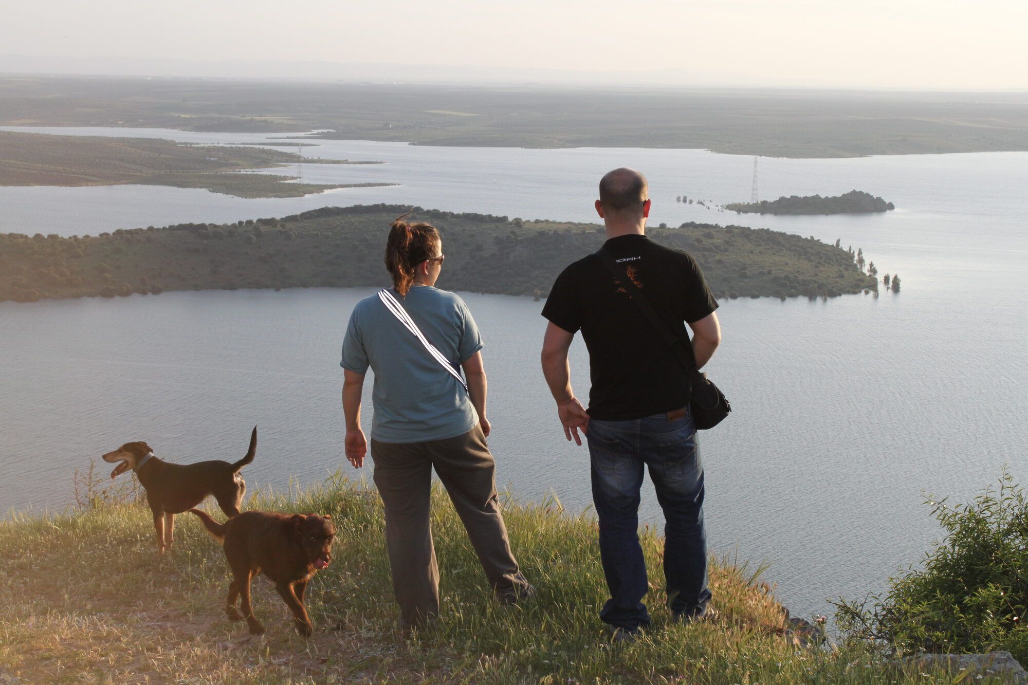 Paseo con perros por la orilla del embalse de Alange