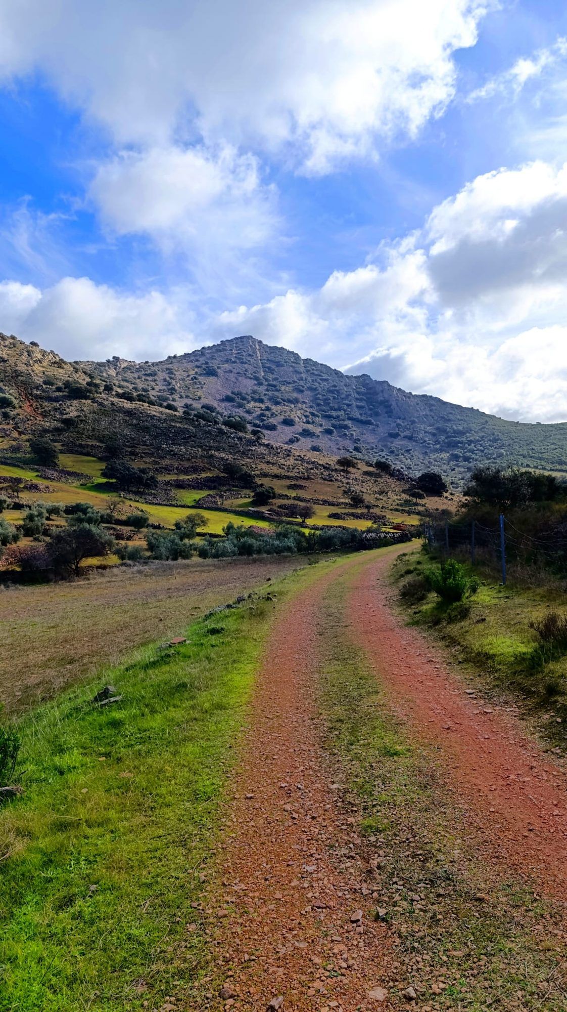 Camino de tierra en el Valle de la Jabata, entre la sierra